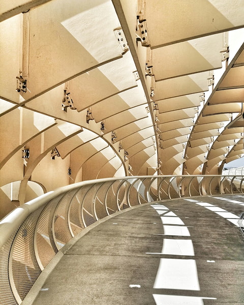 terra genuina shore excursions