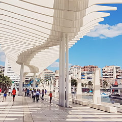 terra genuina shore excursions